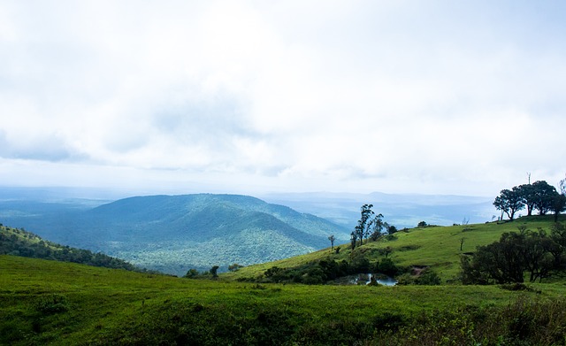 心理素质成 心理素质成
