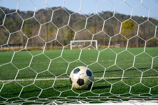 体育界的影 体育界的影