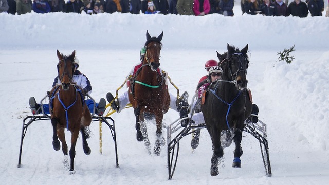 赛季他们完 赛季他们完