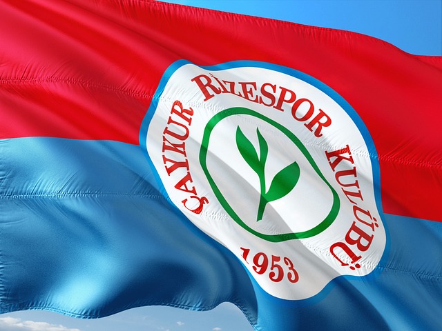 各大赛事精 各大赛事精