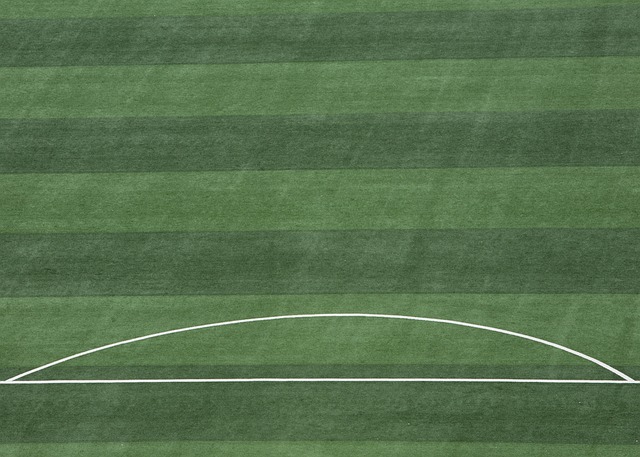 供了更多的 供了更多的