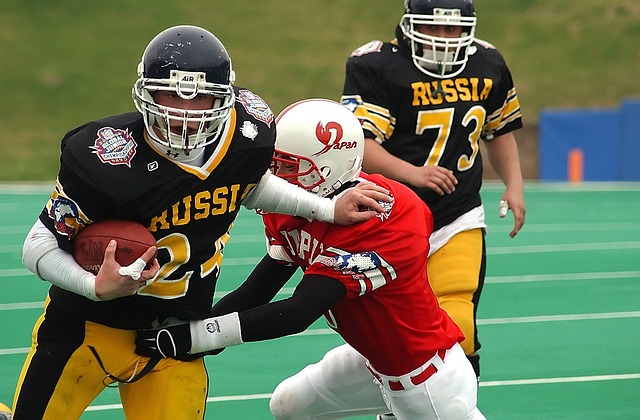 的重要原因 的重要原因