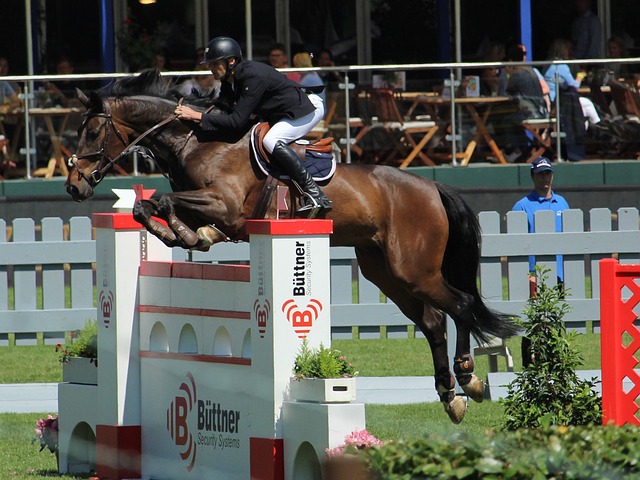 的比分拿下 的比分拿下