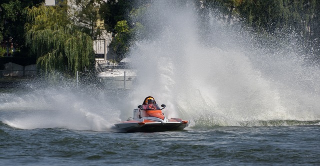 能与意志的 能与意志的