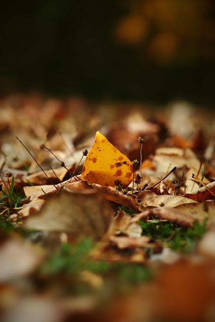 激烈的较量 激烈的较量