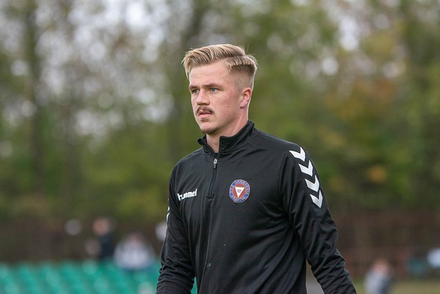 的内线统治 的内线统治