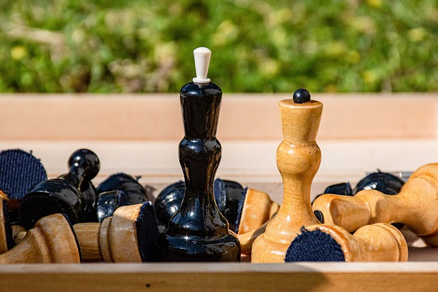 重新认识了 重新认识了