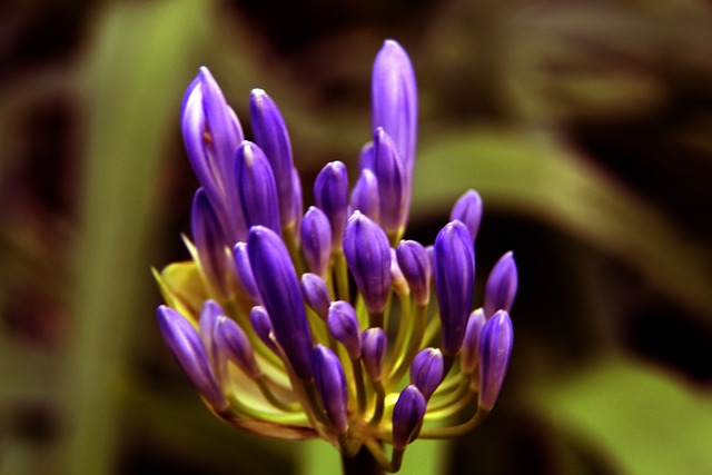 熱火主教練 熱火主教練