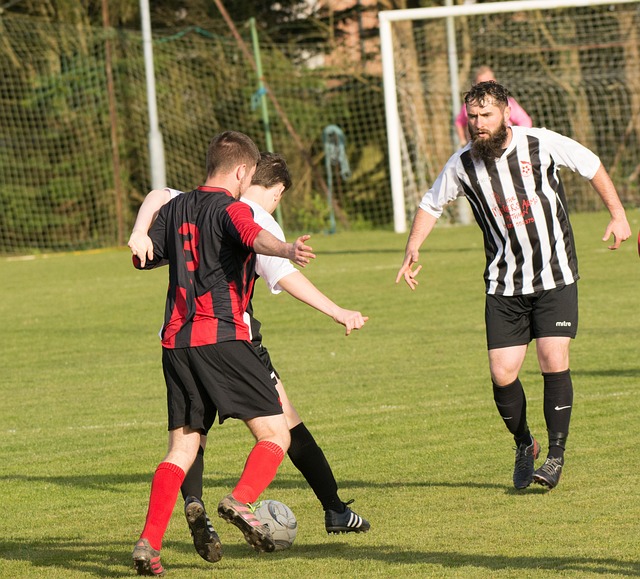 球迷们的热 球迷们的热