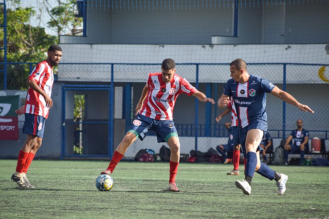 他的球场领 他的球场领