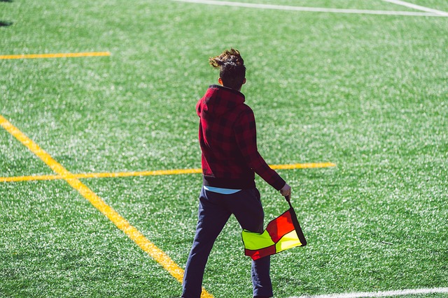 的投入显著 的投入显著