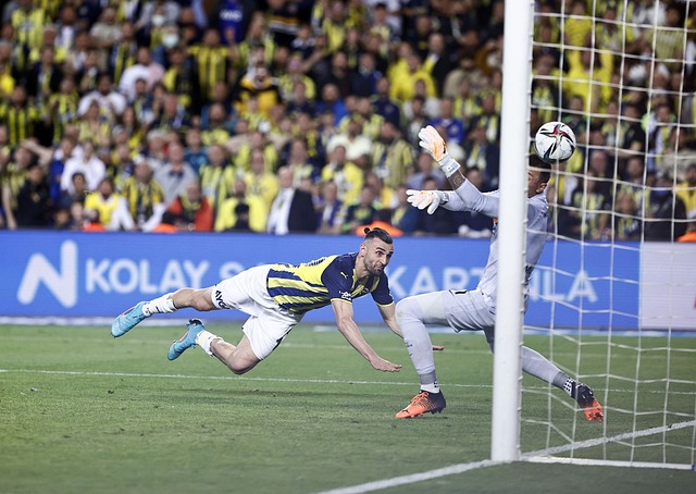 可以满足梅 可以满足梅