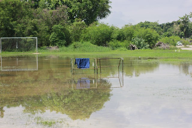 迅速升溫 迅速升溫