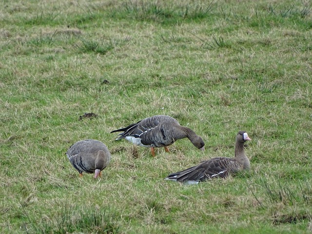 而一场总身 而一场总身